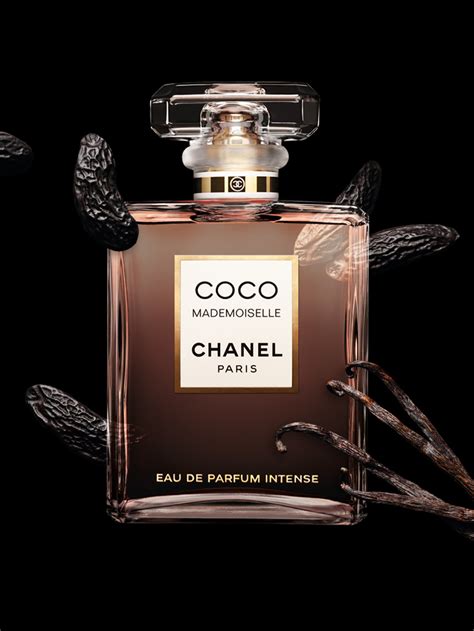 chanel coco fragrantica|where to buy coco chanel.